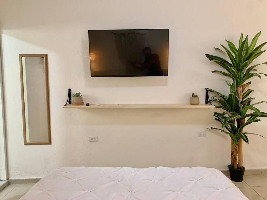 Ferienwohnung Casa Anuiti Centrica Ubicacion. San José del Cabo Exterior foto